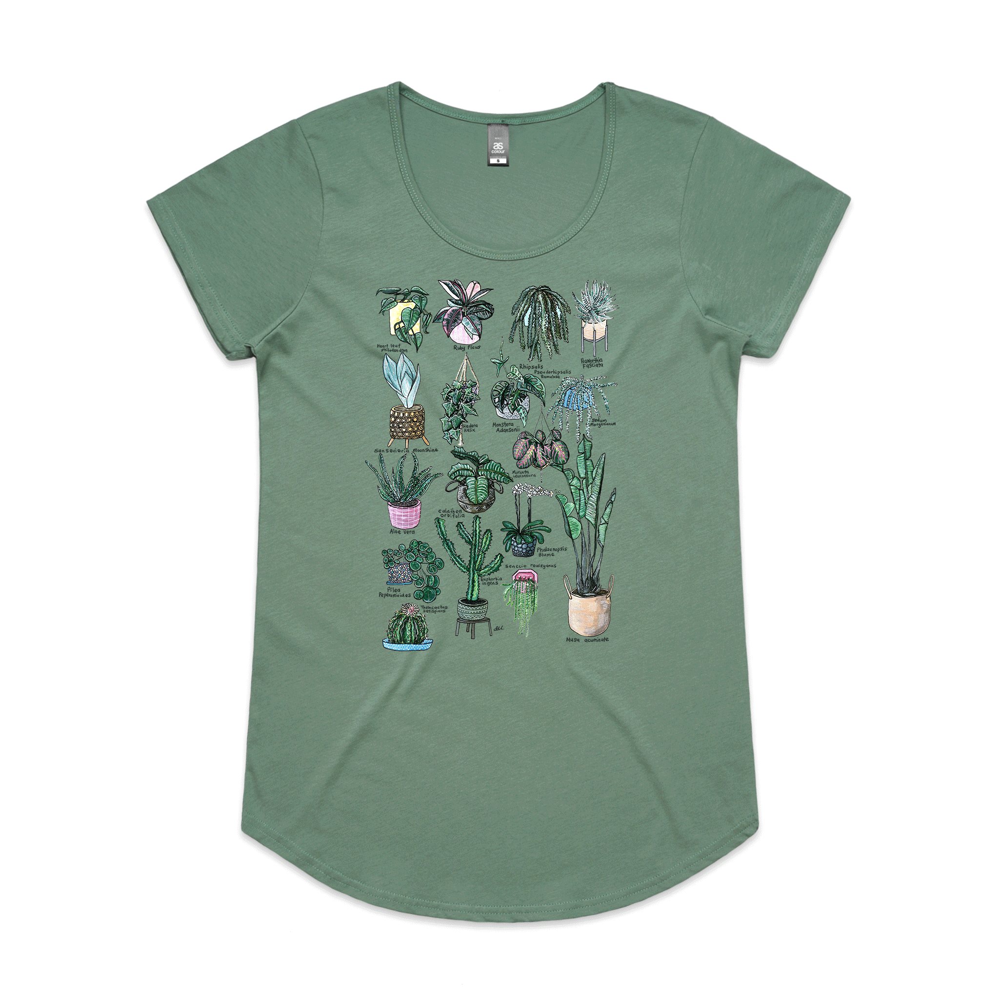 17 Indoor Plants tee