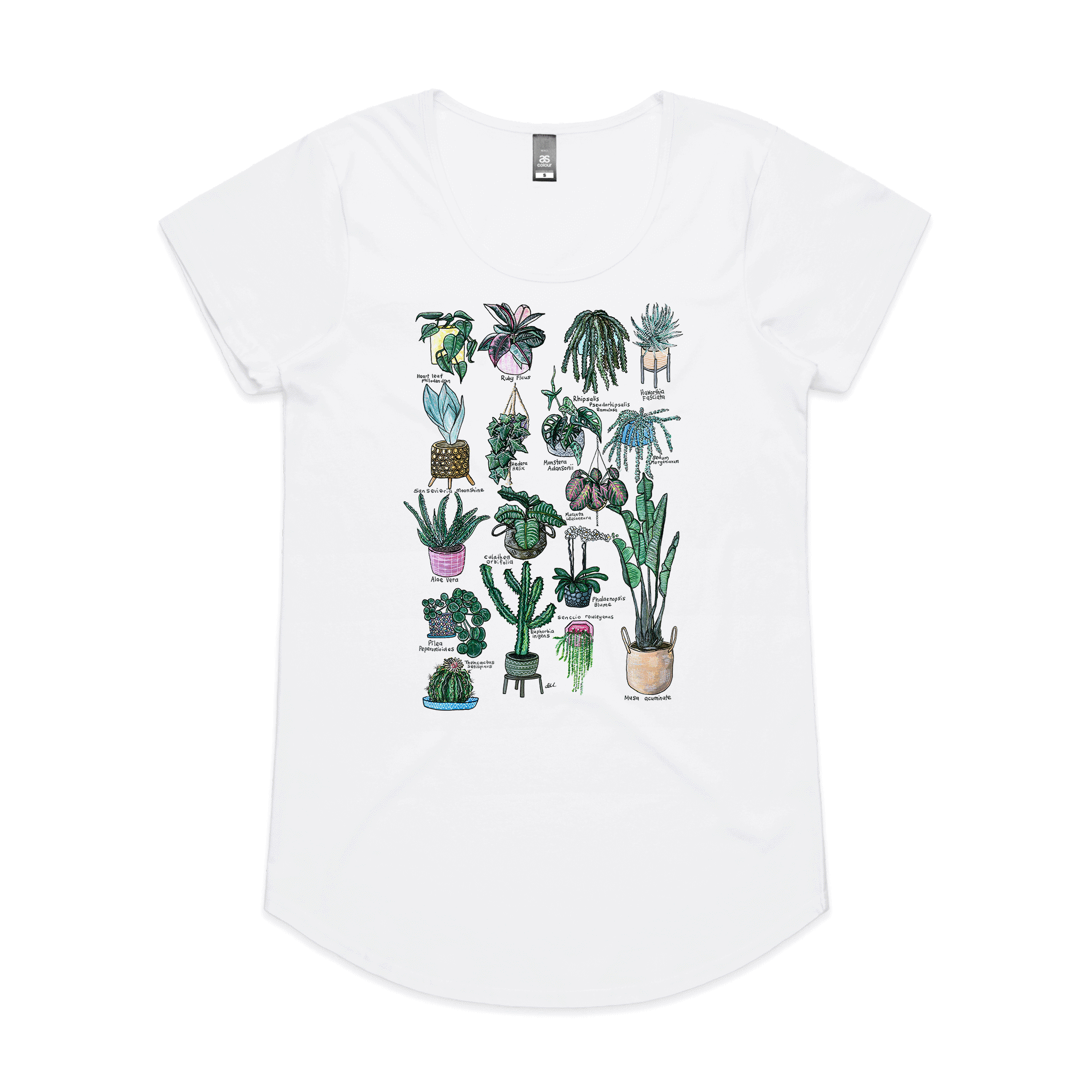 17 Indoor Plants tee