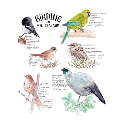 Birding In New Zealand artwork by Nelson Artist Penny Royal Design